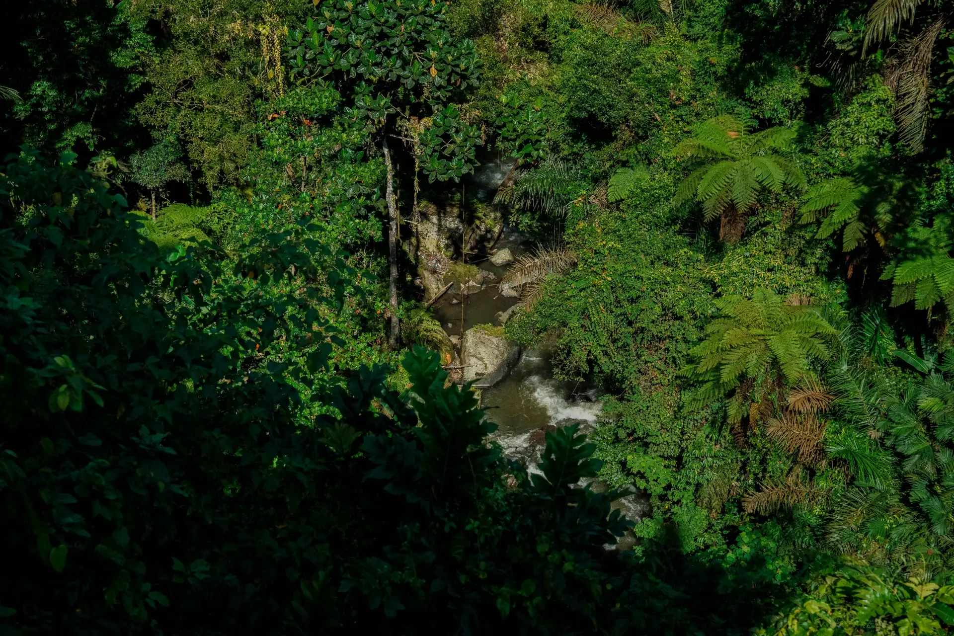 Surroundings