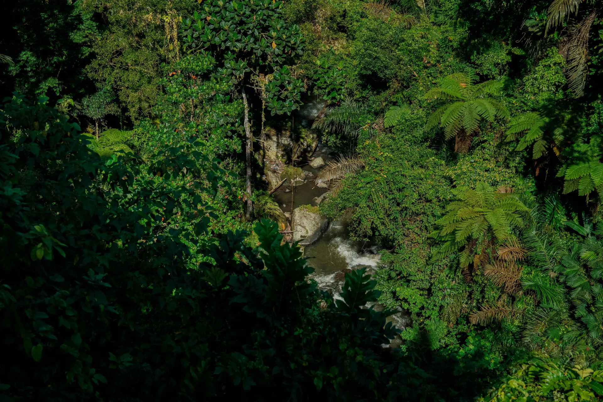 Petanu River and Waterfall