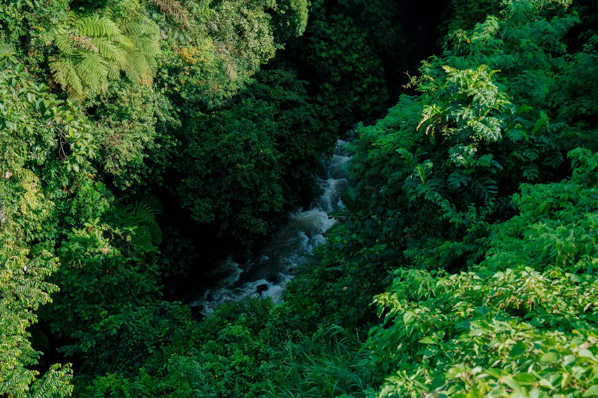 Petanu River and Waterfall